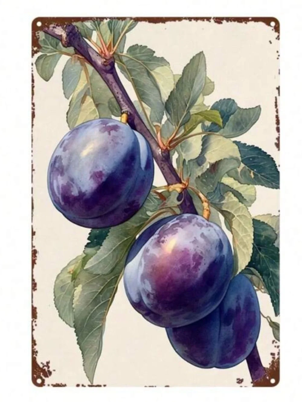 Vintage Botanical Plum Wall Art Decor NEW 🏷️